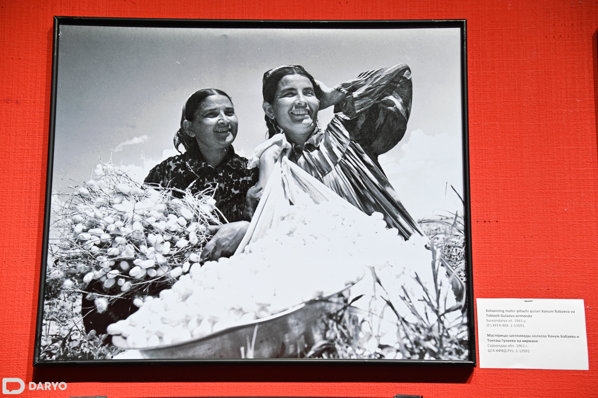 Tabu 2 porno film Ular yosh ayolni tomosha qilish uchun atrofga borishga ruxsat berishdi